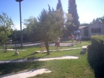 Photo Das Pinhiers
