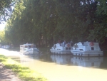 Photo Das Pinhiers