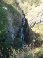 Photo Das Pinhiers