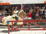 Photo Das Pinhiers
