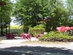 Photo Camping Le Rejallant