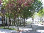 Photo Camping Le Rejallant