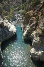 Photo Camping E Canicce**