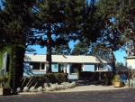 Photo Camping La Foret