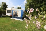 Photo Flower Camping Les Vertes Feuilles