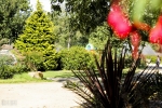 Photo Camping Baie De Terenez