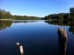 Photo Domaine De La Dombes