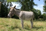 Photo Domaine De La Dombes