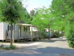 Photo Camping  La Pinède