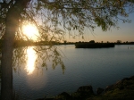 Photo Camping Du Lac De Saujon