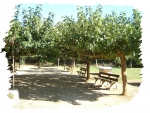 Photo Camping Les Chênes