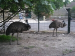 Photo Camping Le Clos Cottet****