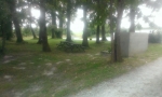 Photo Moorea Camping