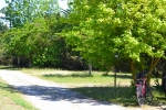 Photo Camping Municipal De La Court