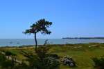 Photo Camping Municipal De La Court