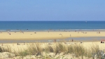Photo Camping Capfun Pomme De Pin