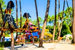 Photo Camping Capfun Pomme De Pin thumb
