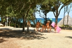 Photo Bagheera Village Naturiste