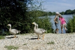 Photo Camping Le Nid Du Parc