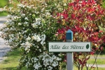 Photo Domaine De Diane