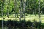Photo Domaine De Diane