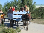 Photo Camping Le Ragis
