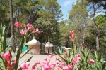 Photo Camping Club Le Ruou ****