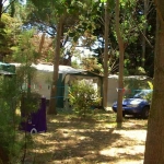 Photo Camping Le Lamparo