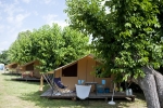 Photo Indigo Forcalquier