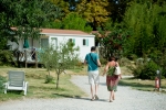 Photo Indigo Forcalquier