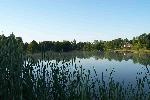 Photo Camping Des Platanes