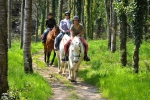 Photo Camping Le Ty Nadan