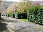 Photo Camping Le Jardin