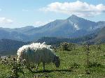 Photo Camping Du Pont D\'abense