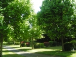 Photo Camping Le Moulin Des Effres****