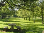 Photo Camping Le Moulin Des Effres****