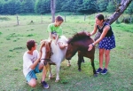 Photo Yelloh! Village Le Domaine Des Bans