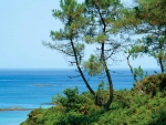 Photo Yelloh! Village Les Pins