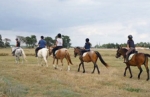 Photo Domaine Du Collet