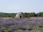 Photo Domaine Des Chênes Blancs