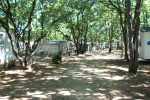 Photo Domaine Des Chênes Blancs