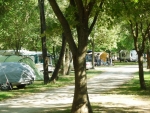 Photo Camping Du Lion